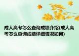 成人高考怎么查询成绩介绍(成人高考怎么查询成绩详细情况如何)