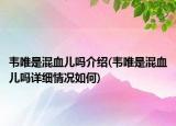 韦唯是混血儿吗介绍(韦唯是混血儿吗详细情况如何)
