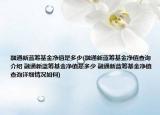 融通新蓝筹基金净值是多少(融通新蓝筹基金净值查询介绍 融通新蓝筹基金净值是多少 融通新蓝筹基金净值查询详细情况如何)