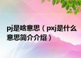 pj是啥意思（pxj是什么意思简介介绍）