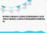 邪灵秘录大概说的什么里面有吴邪和闷油瓶吗介绍(邪灵秘录大概说的什么里面有吴邪和闷油瓶吗详细情况如何)
