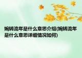婉转流年是什么意思介绍(婉转流年是什么意思详细情况如何)