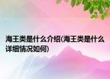 海王类是什么介绍(海王类是什么详细情况如何)