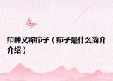 疖肿又称疖子（疖子是什么简介介绍）