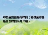 郫县豆瓣酱是啥样的（郫县豆瓣酱是什么样的简介介绍）