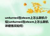 unturned在steam上怎么联机介绍(unturned在steam上怎么联机详细情况如何)