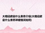 大相径庭是什么意思介绍(大相径庭是什么意思详细情况如何)