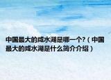 中国最大的咸水湖是哪一个?（中国最大的咸水湖是什么简介介绍）