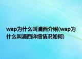 wap为什么叫浦西介绍(wap为什么叫浦西详细情况如何)