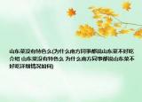 山东菜没有特色么(为什么南方同事都说山东菜不好吃介绍 山东菜没有特色么 为什么南方同事都说山东菜不好吃详细情况如何)