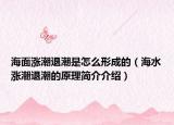 海面涨潮退潮是怎么形成的（海水涨潮退潮的原理简介介绍）