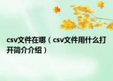 csv文件在哪（csv文件用什么打开简介介绍）