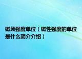 磁场强度单位（磁性强度的单位是什么简介介绍）