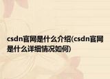 csdn官网是什么介绍(csdn官网是什么详细情况如何)