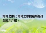 青鸟 剧情（青鸟之家的结局是什么简介介绍）