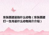 东张西望是指什么动物（东张西望打一生肖是什么动物简介介绍）