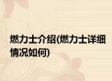 燃力士介绍(燃力士详细情况如何)