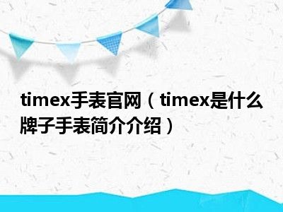 timex手表官网（timex是什么牌子手表简介介绍）