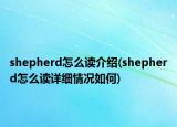 shepherd怎么读介绍(shepherd怎么读详细情况如何)