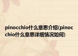 pinocchio什么意思介绍(pinocchio什么意思详细情况如何)
