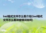 bsd格式文件怎么看介绍(bsd格式文件怎么看详细情况如何)