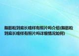 脂肪粒到底长啥样有照片吗介绍(脂肪粒到底长啥样有照片吗详细情况如何)