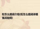 松怎么组词介绍(松怎么组词详细情况如何)