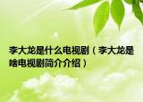 李大龙是什么电视剧（李大龙是啥电视剧简介介绍）
