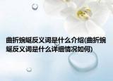 曲折蜿蜒反义词是什么介绍(曲折蜿蜒反义词是什么详细情况如何)