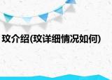 玟介绍(玟详细情况如何)