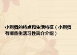 小刺猬的特点和生活特征（小刺猬有哪些生活习性简介介绍）