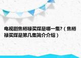 电视剧焦裕禄买煤是哪一集?（焦裕禄买煤是第几集简介介绍）