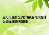 迟可以组什么词介绍(迟可以组什么词详细情况如何)