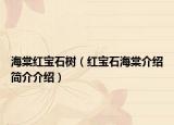 海棠红宝石树（红宝石海棠介绍简介介绍）