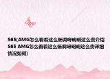 S65(AMG怎么看着这么低调呀明明这么贵介绍 S65 AMG怎么看着这么低调呀明明这么贵详细情况如何)