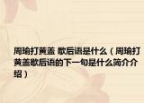 周瑜打黄盖 歇后语是什么（周瑜打黄盖歇后语的下一句是什么简介介绍）