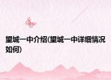 望城一中介绍(望城一中详细情况如何)
