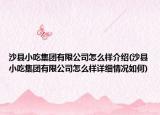 沙县小吃集团有限公司怎么样介绍(沙县小吃集团有限公司怎么样详细情况如何)