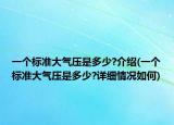 一个标准大气压是多少?介绍(一个标准大气压是多少?详细情况如何)