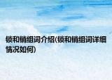 锁和销组词介绍(锁和销组词详细情况如何)