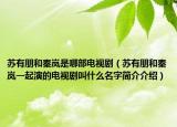 苏有朋和秦岚是哪部电视剧（苏有朋和秦岚一起演的电视剧叫什么名字简介介绍）