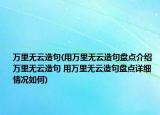 万里无云造句(用万里无云造句盘点介绍 万里无云造句 用万里无云造句盘点详细情况如何)