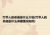 竹节人的总结是什么介绍(竹节人的总结是什么详细情况如何)