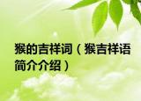 猴的吉祥词（猴吉祥语简介介绍）