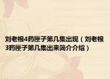 刘老根4药匣子第几集出现（刘老根3药匣子第几集出来简介介绍）