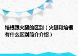 培根跟火腿的区别（火腿和培根有什么区别简介介绍）