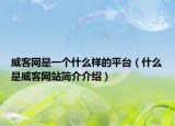 威客网是一个什么样的平台（什么是威客网站简介介绍）