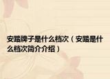 安踏牌子是什么档次（安踏是什么档次简介介绍）