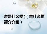 害是什么梗?（害什么梗简介介绍）