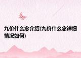 九价什么念介绍(九价什么念详细情况如何)